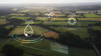 Satellite Imaging and Monitoring Service